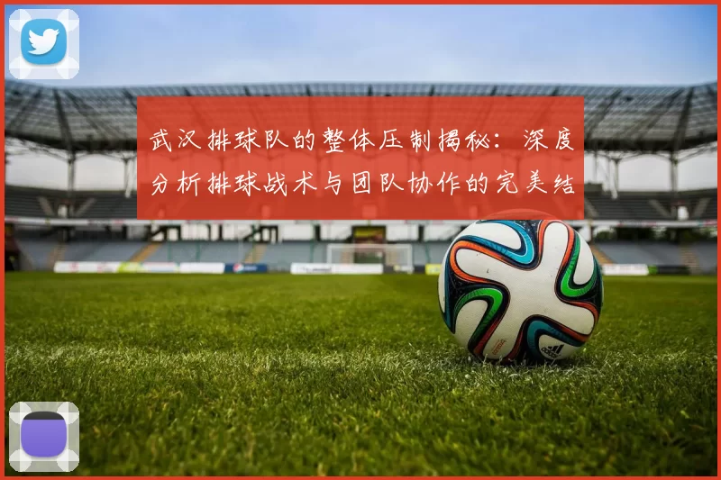 武汉排球队的整体压制揭秘：深度分析排球战术与团队协作的完美结合