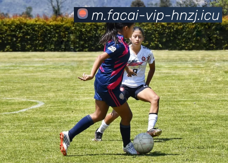 开云体育品牌故事