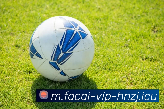 开云体育服务体系